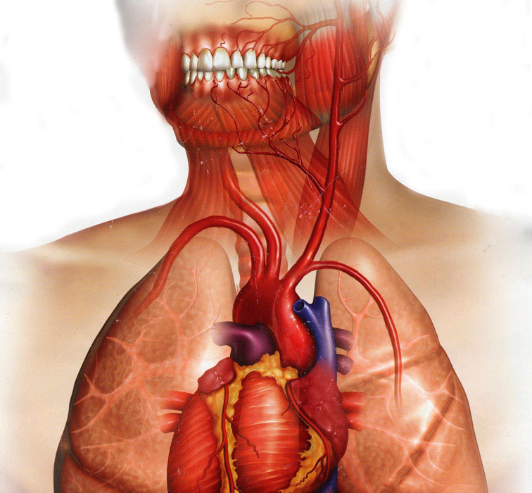 Periodontal Disease And Heart Disease El Paso TX
